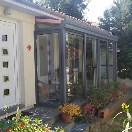 Lamourelle *
